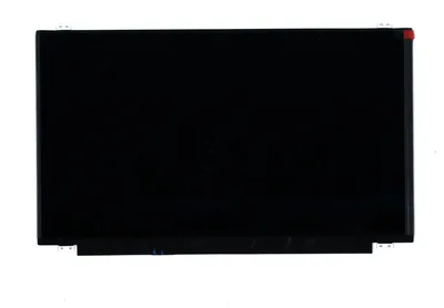 15.6-inch FHD IPS display for