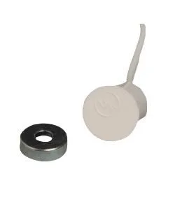 White Miniature Contact with