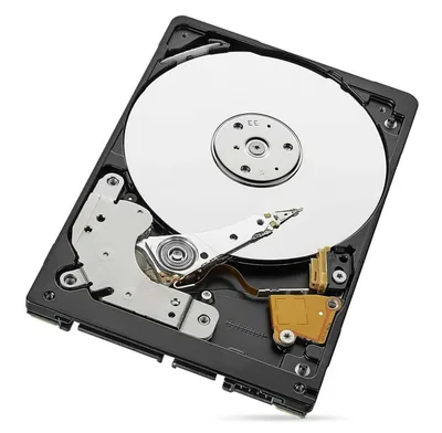 2.5" SAS Hotswap 300GB 10KRPM