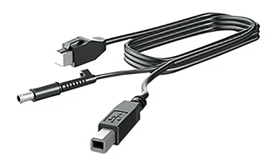 300CM DP+USB PWR CABLE