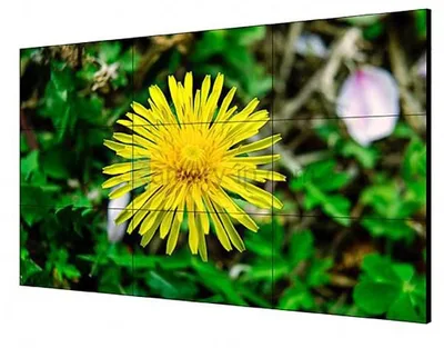 LCD