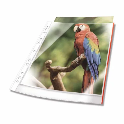 Sheet Protector A4
