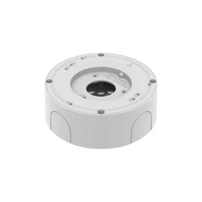 Backbox adapts various
