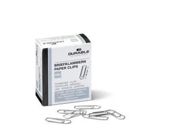 Paper Clip 100 Pc(S)
