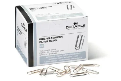 Paper Clip 100 Pc(S)