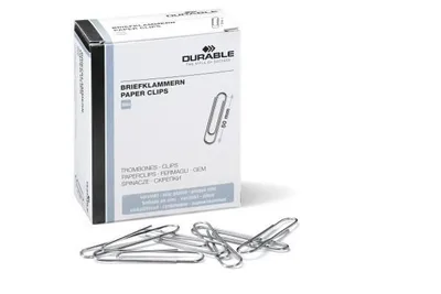 Paper Clip Metal 100 Pc(S)