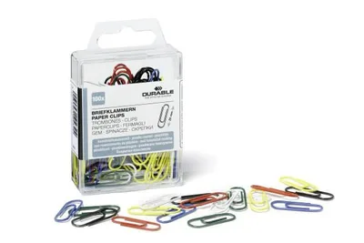 Paper Clip 100 Pc(S)