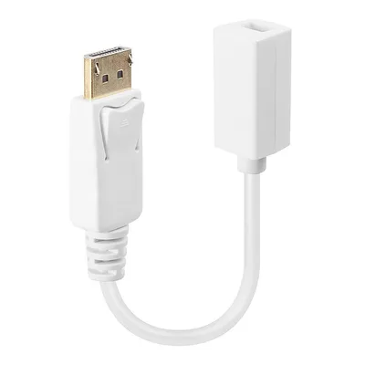Displayport: Dp(M) /Mini-Dp(F)