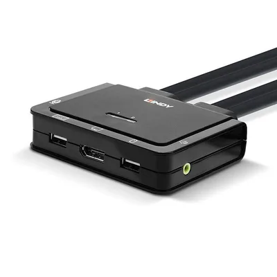 2 Port DisplayPort 1.2, USB