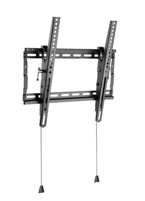 Basic Medium Wall Mount with