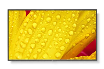 M651-2, 65" M-Series, LFD,