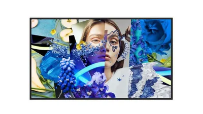 DS-D6032FN-DP, 32-inch Full