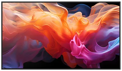 E559, 55" E-Series, LFD, UHD
