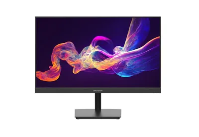 23.8 inch FHD 100Hz IPS