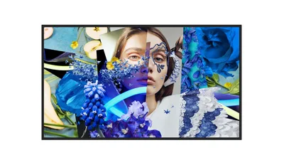 DS-D6032FN-DP(O-STD), 32"