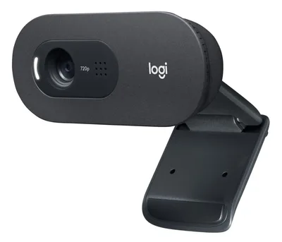 Logitech C505 HD cámara web USB Grafito