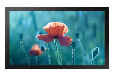 Samsung QB13C 33 cm (13") LCD Wifi 500 cd / m² Full HD Negro 16/7