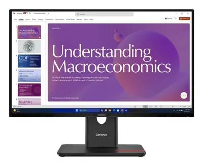 Lenovo ThinkVision T24D-40 pantalla para PC 60,5 cm (23.8") 1920 x 1080 Pixeles Full HD LCD Negro