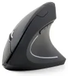 Gembird MUSW-ERGO-01 ratón Oficina mano derecha RF inalámbrico Óptico 1600 DPI