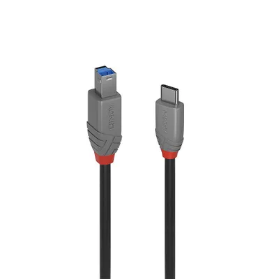 Lindy 36666 cable USB USB 3.2 Gen 1 (3.1 Gen 1) 1 m USB C USB B Negro