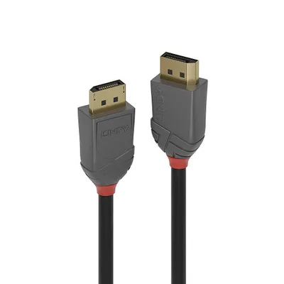 Lindy 36482 cable DisplayPort 2 m Negro