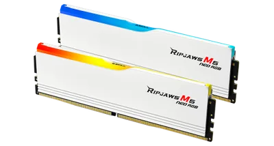 G.Skill Ripjaws M5 RGB F5-6000J3636F16GX2-RM5NRW módulo de memoria 32 GB 2 x 16 GB DDR5 288-pin DIMM