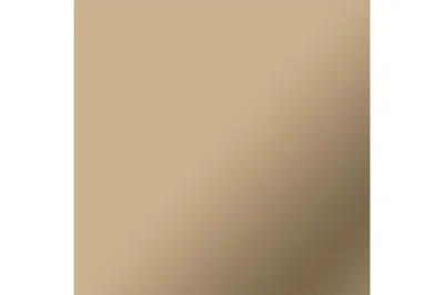 CRICUT SMART VINYL PERMANENT JOY XTRA 24,1X91CM (MAT CHAMPAGNE)