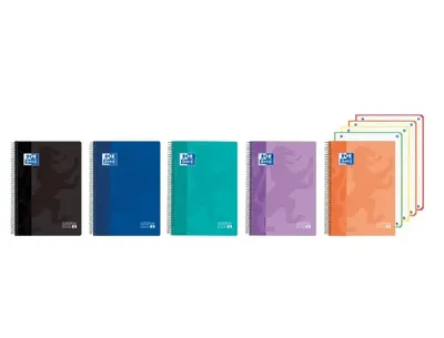CUADERNO EUROPEANBOOK 4 TAPA PLÁSTICO CLASSIC A5+ 120H VIVOS OXFORD 400196863