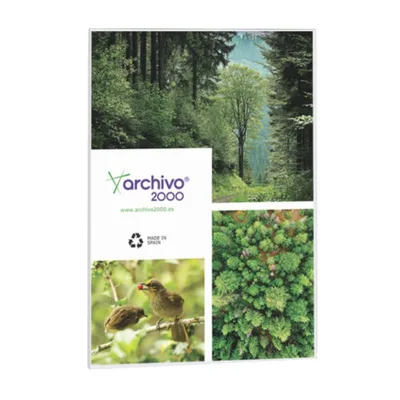 PORTAFOLLETOS MURAL PREMIUM A4 VERTICAL ADHESIVO 210x300MM ARCHIVO 2000 6156CSTP