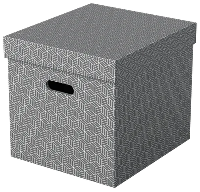 PACK 3 CAJAS GRISES 365X320X315MM ESSELTE 628289