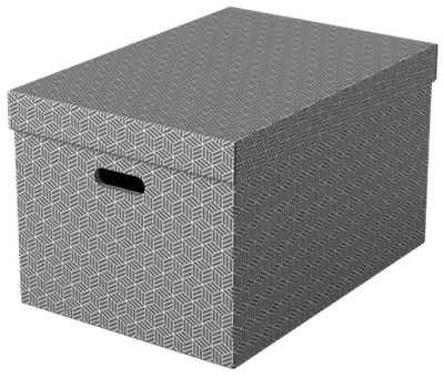 PACK 3 CAJAS GRISES 510X355X305MM ESSELTE 628287