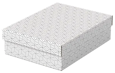 PACK 3 CAJAS BLANCAS 360X265X100MM ESSELTE 628284