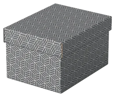 PACK 3 CAJAS GRISES 255X200X150MM ESSELTE 628281