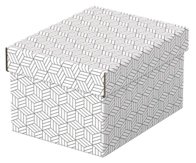 PACK 3 CAJAS BLANCAS 255X200X150MM ESSELTE 628280
