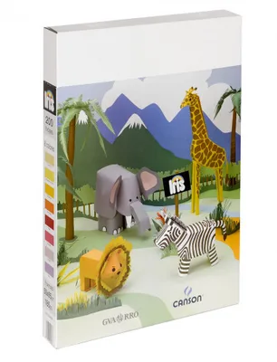 EXPOSITOR 200H CARTULINA IRIS 50X65 185G SURTIDO C (X8) CANSON C400080142