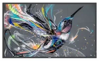 Pantalla Q-Line 75BDL3511Q/00 18/7