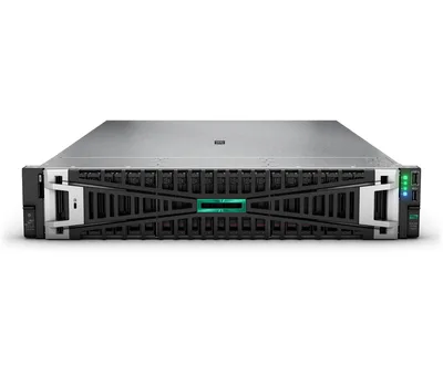 HPE Smart Choice DL380 G11 4510 64G 8SFF MR408I-O SVR
