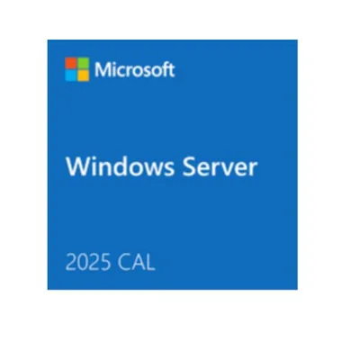 WIN SRVR CAL 2025 1CLT DEVICE ES
