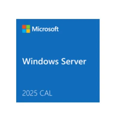 WIN SRVR CAL 2025 1CLT USER ES