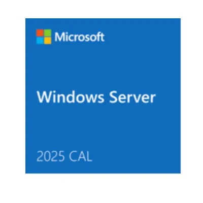 WIN SRVR CAL 2025 5CLT USER ES